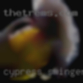 Cypress swinger