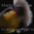 Hiawassee, personal